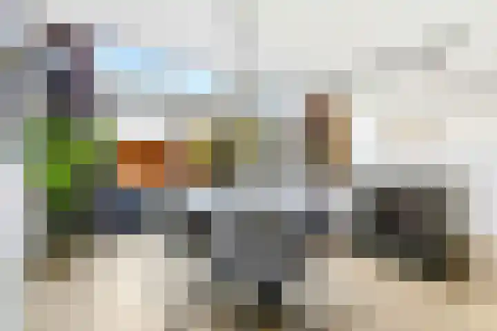 Schonenvaart 24 Almere thumbnail 8