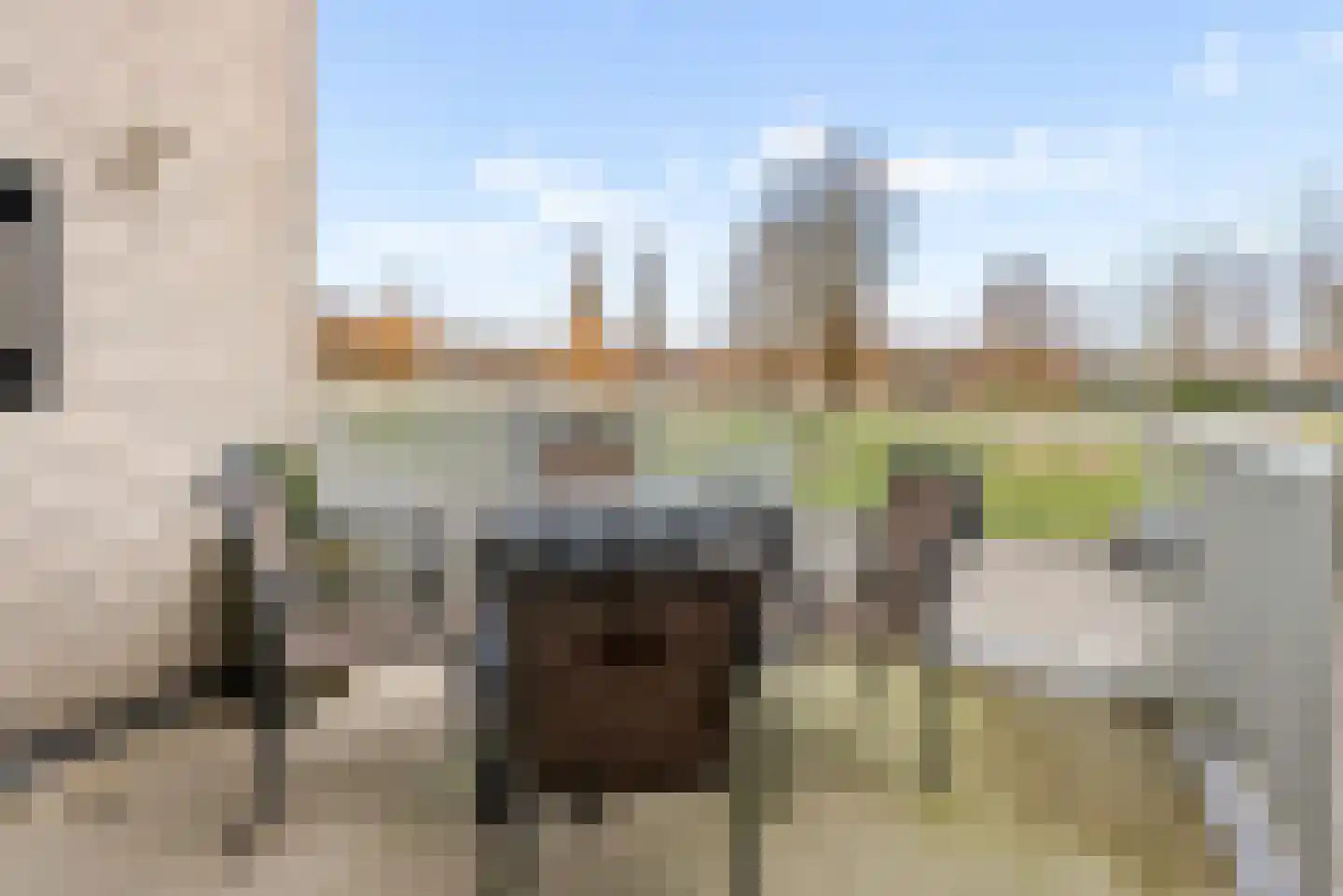 Schonenvaart 42 Almere thumbnail 38