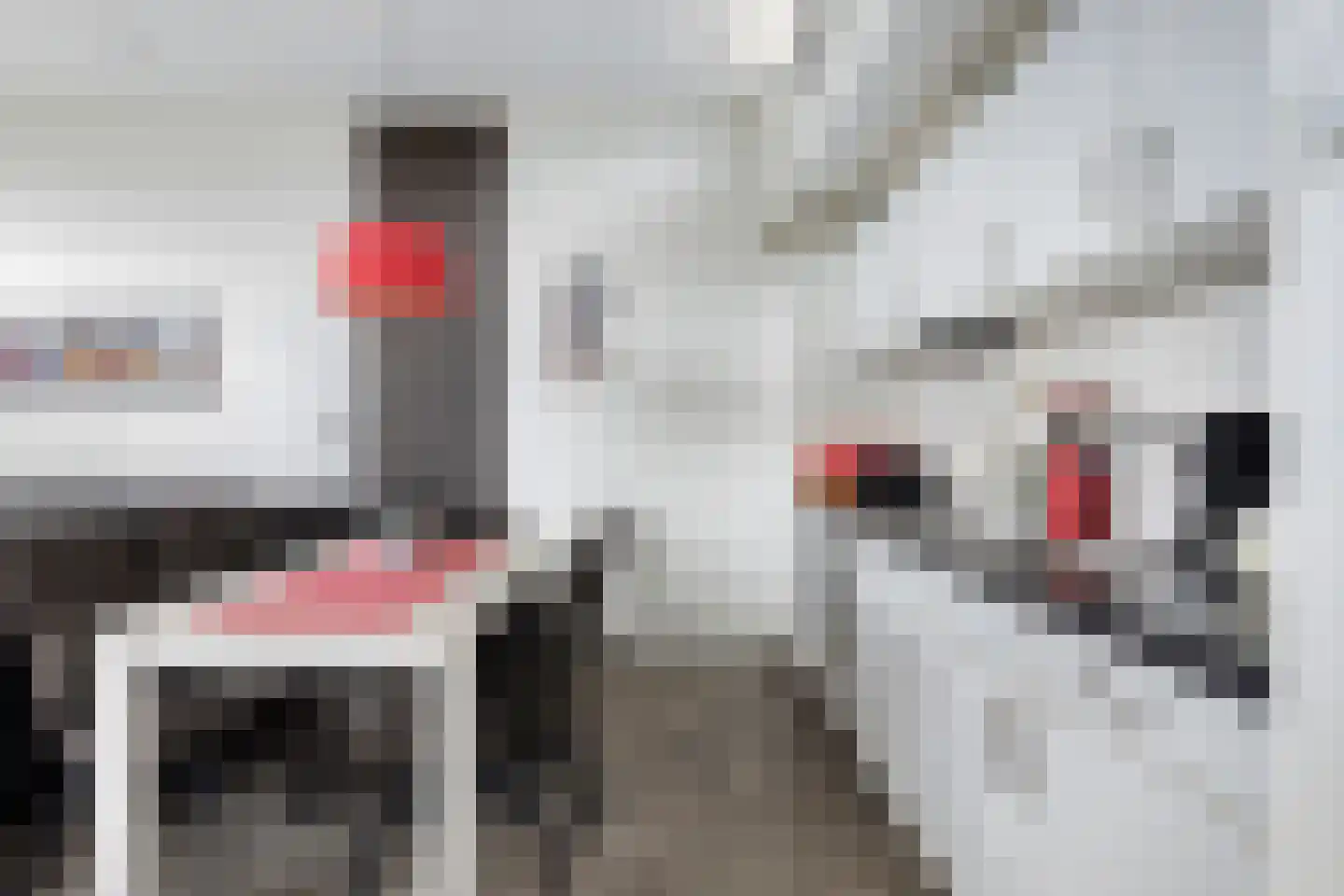 Schoneveld 1 A 021 Breskens thumbnail 11