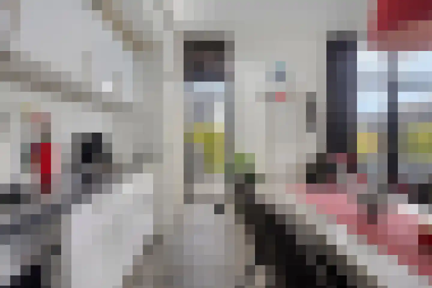 Schoneveld 1 A 021 Breskens thumbnail 12