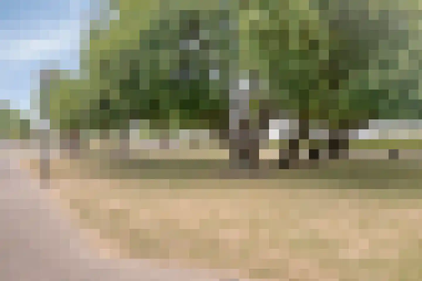 Schoneveld 1 B 001 Breskens thumbnail 26