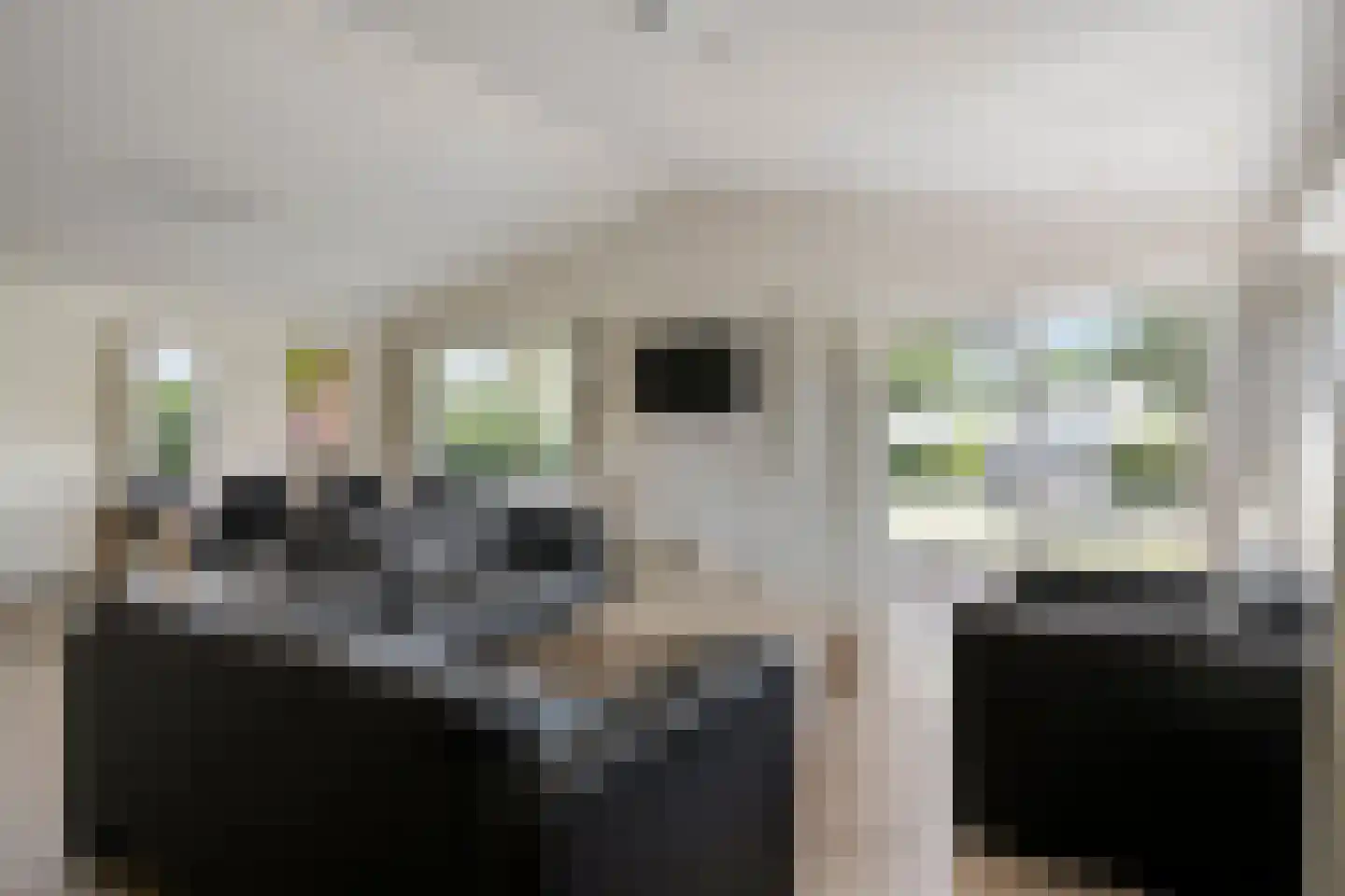 Schoneveld 1 B 001 Breskens thumbnail 6