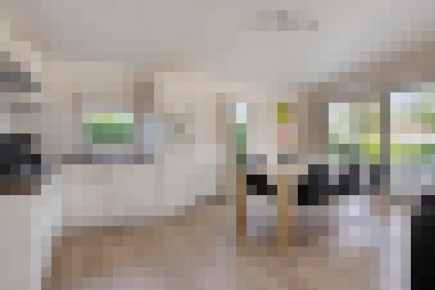 Schoneveld 1 B 001 Breskens thumbnail 7