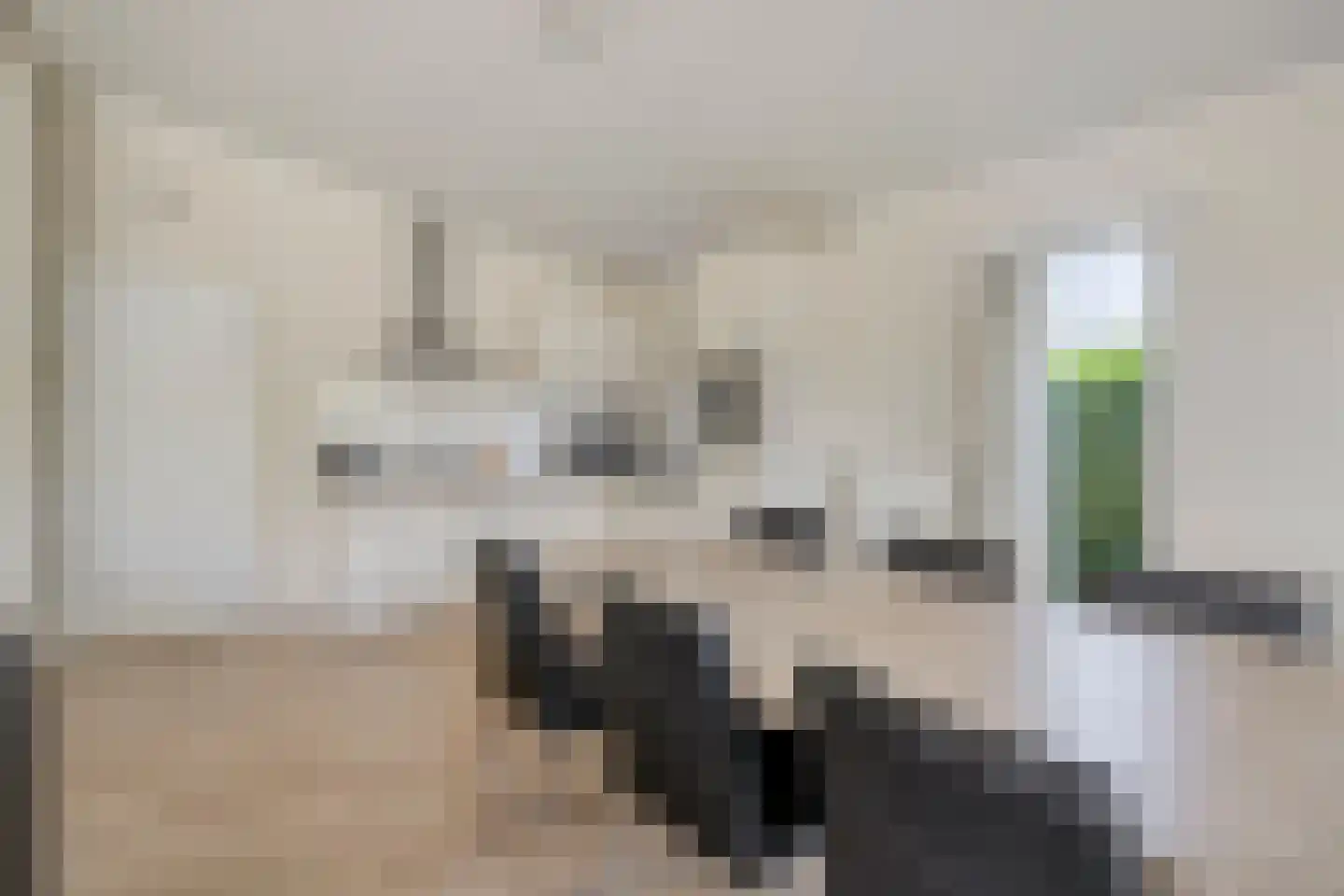 Schoneveld 1 B 001 Breskens thumbnail 8