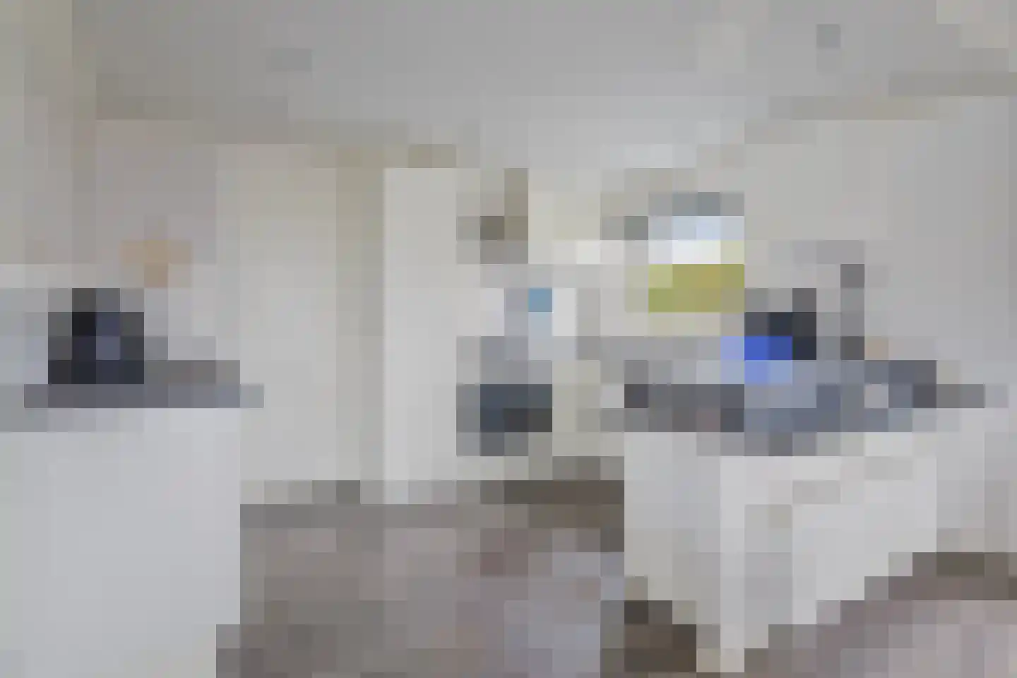 Schoneveld 1 B 002 Breskens thumbnail 11