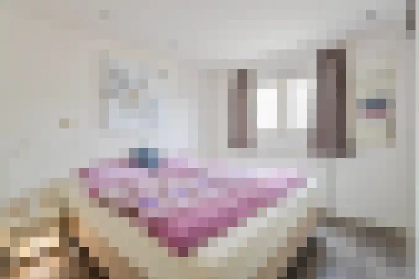 Schoneveld 1 B 002 Breskens thumbnail 16