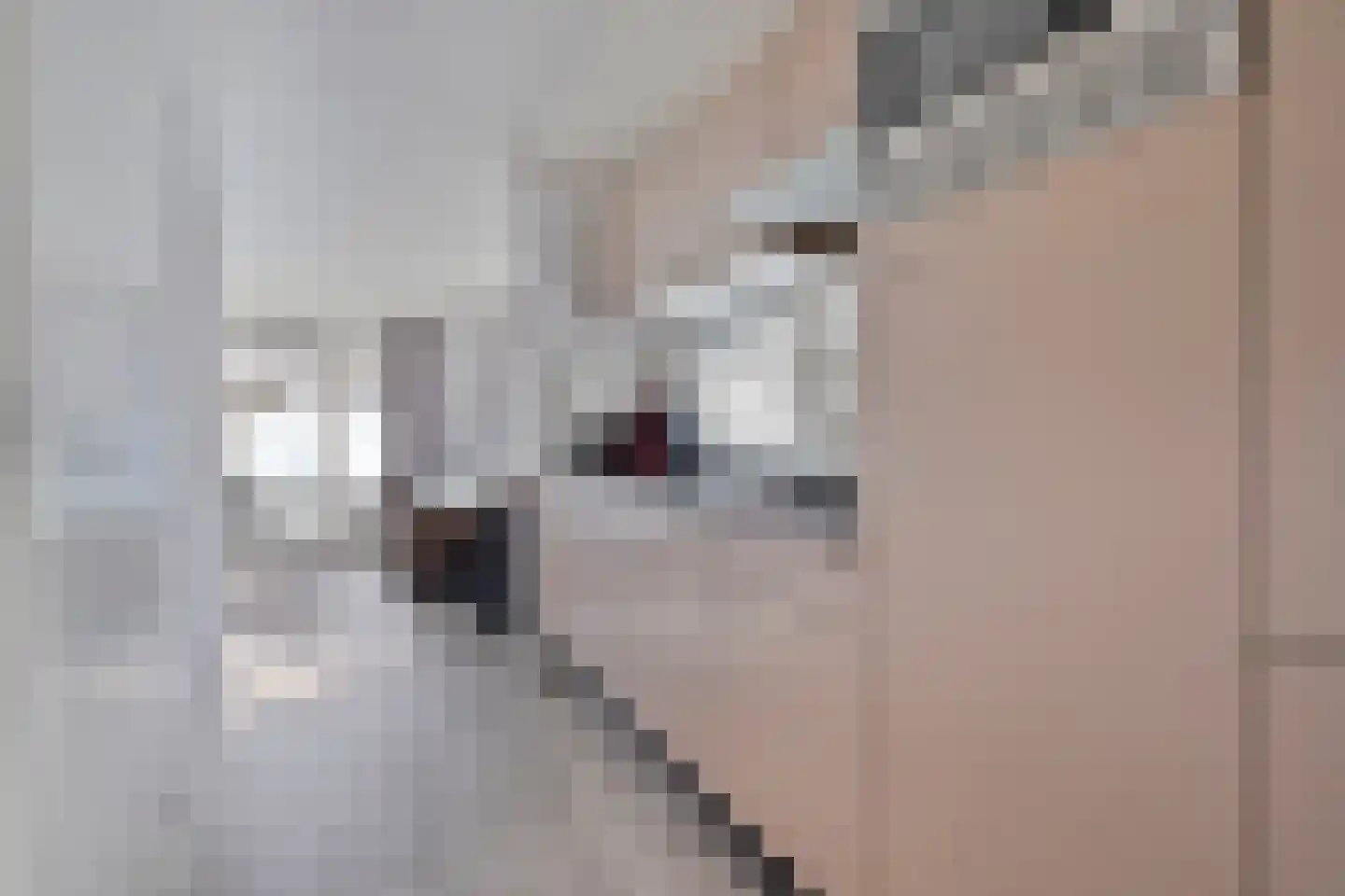 Schoneveld 1 B 006 Breskens thumbnail 10