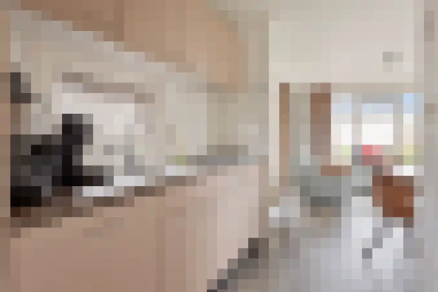 Schoneveld 1 B 006 Breskens thumbnail 10