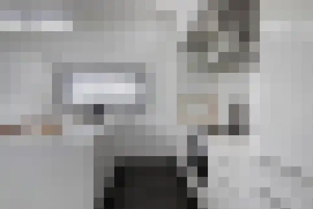 Schoneveld 1 B 006 Breskens thumbnail 12