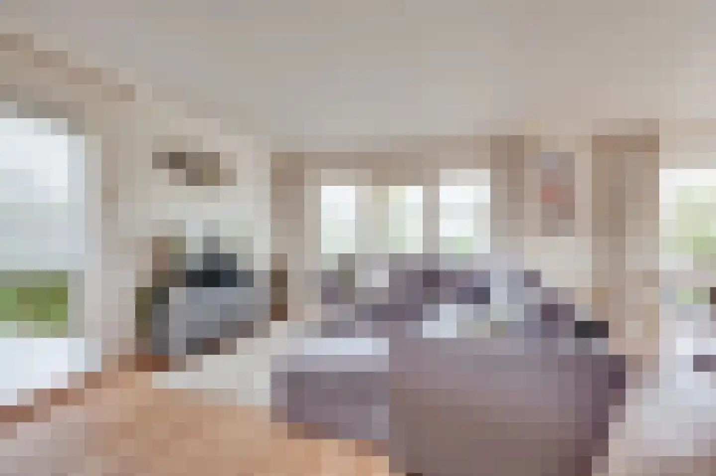Schoneveld 1 B 006 Breskens thumbnail 12
