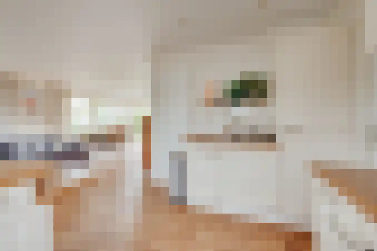 Schoneveld 1 B 006 Breskens thumbnail 14