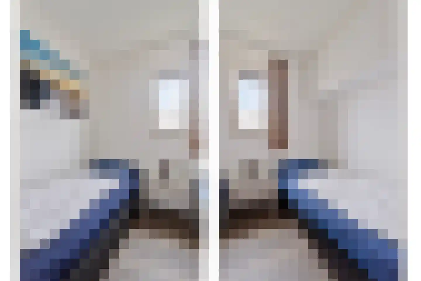 Schoneveld 1 B 006 Breskens thumbnail 15