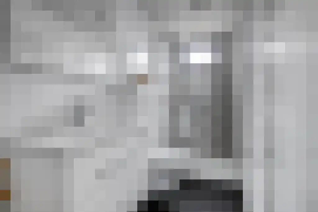 Schoneveld 1 B 006 Breskens thumbnail 15