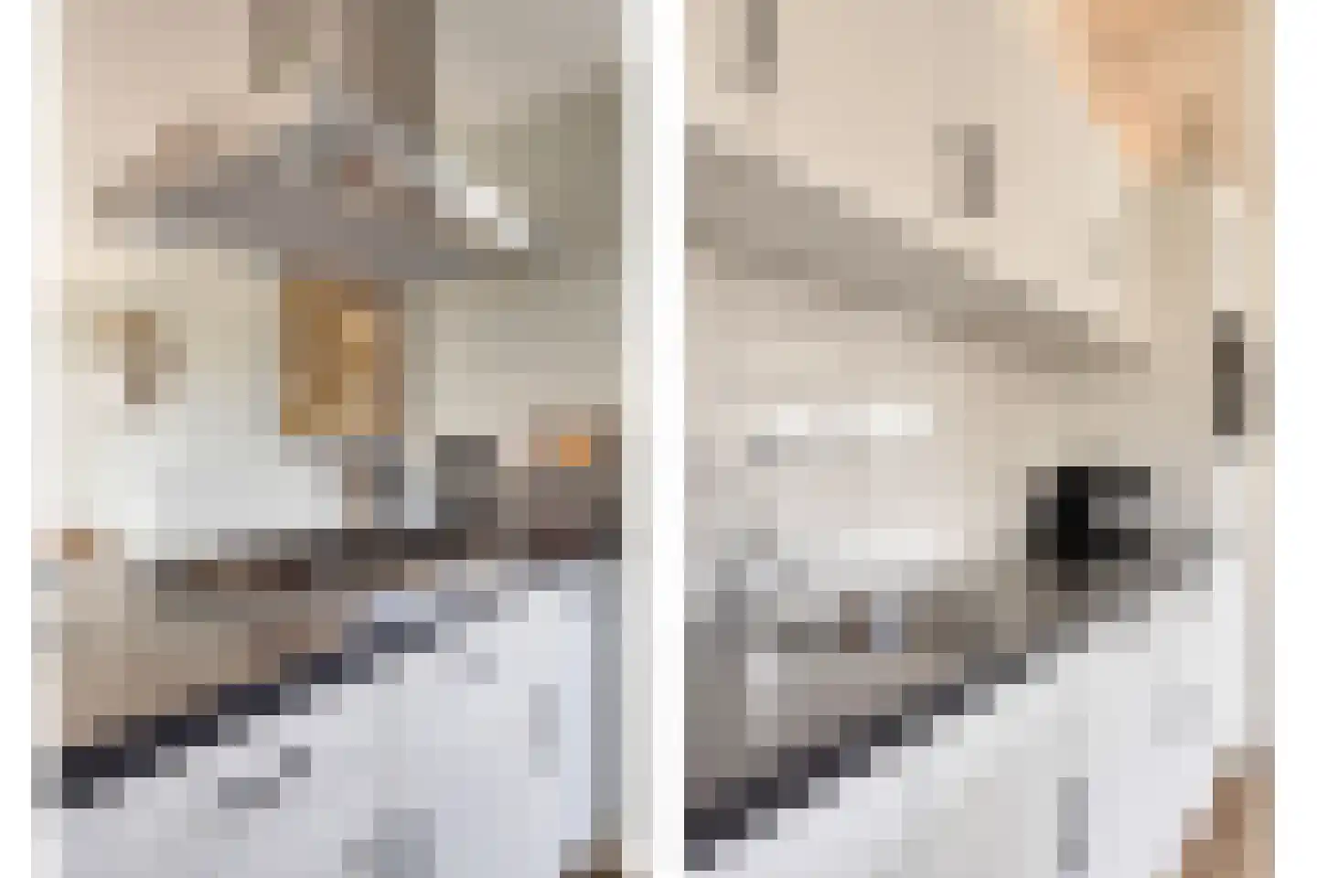 Schoneveld 1 B 006 Breskens thumbnail 15