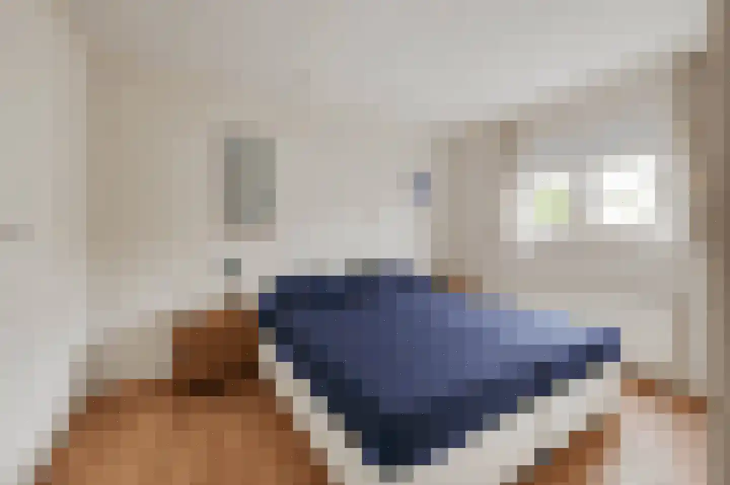 Schoneveld 1 B 006 Breskens thumbnail 15