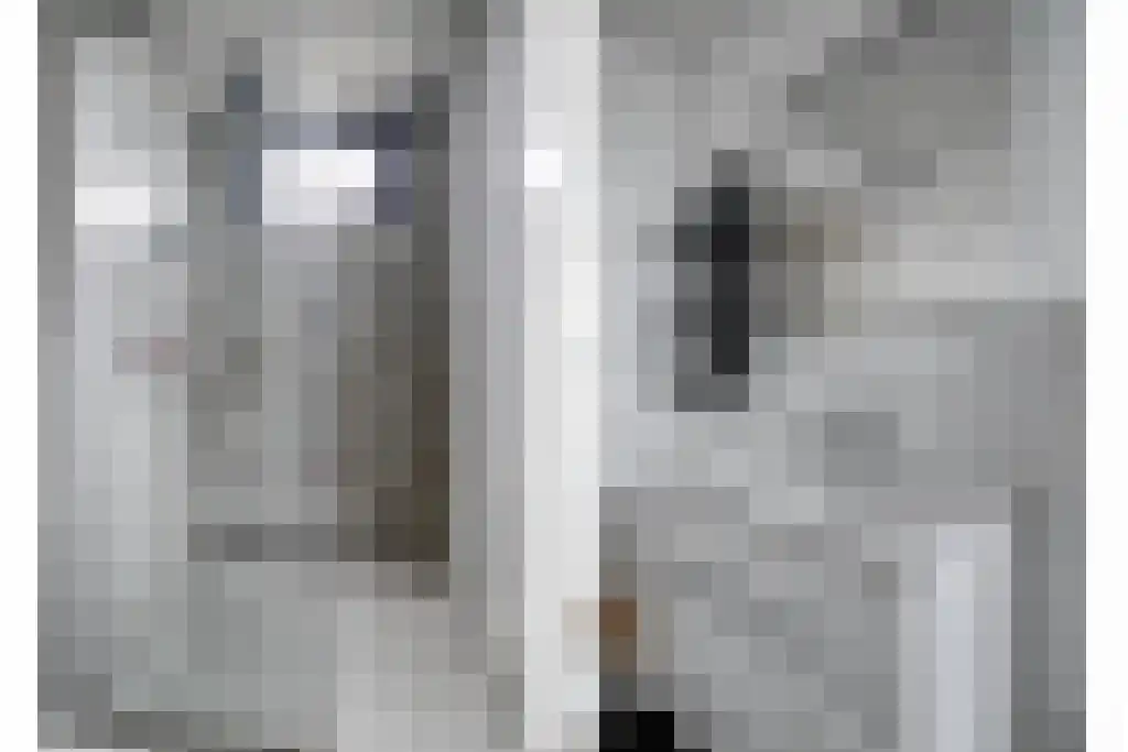 Schoneveld 1 B 006 Breskens thumbnail 16
