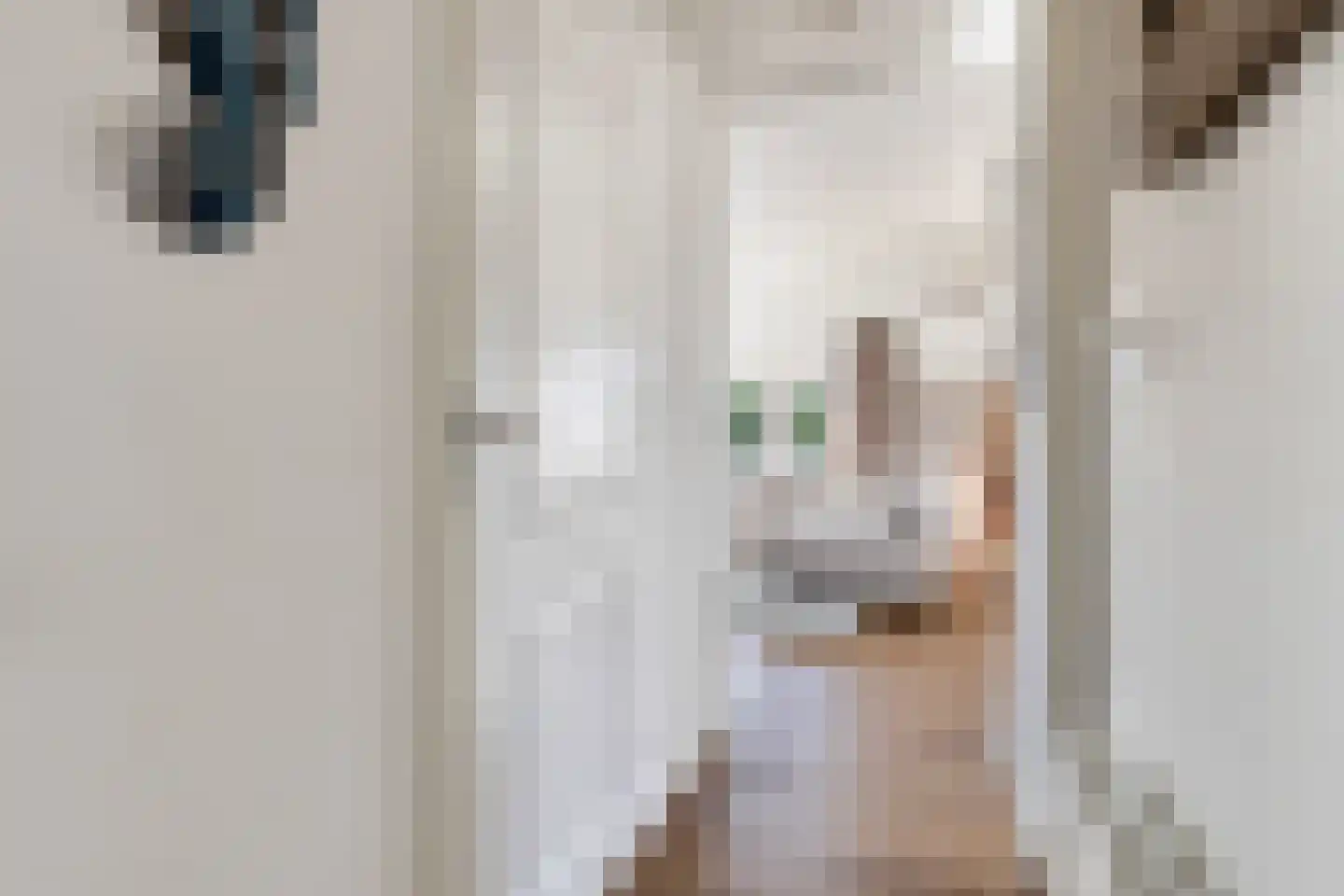 Schoneveld 1 B 006 Breskens thumbnail 17