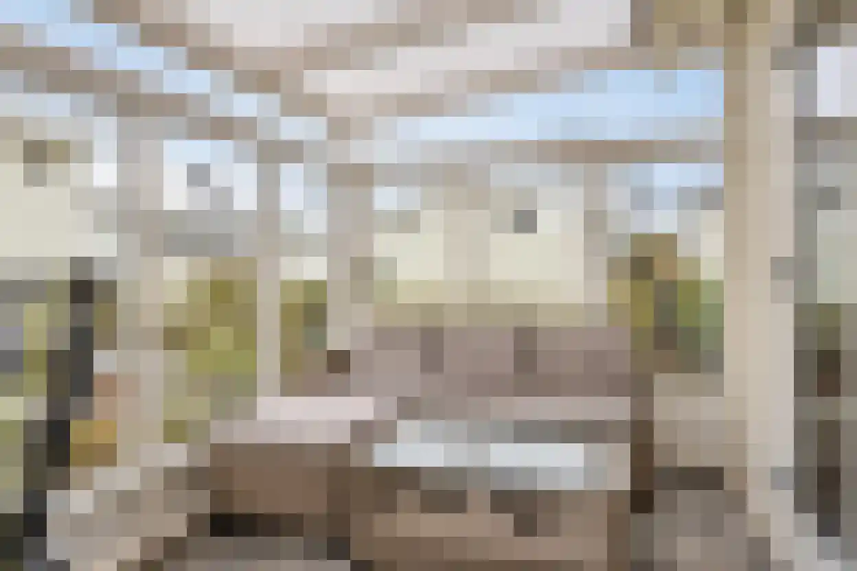 Schoneveld 1 B 006 Breskens thumbnail 17