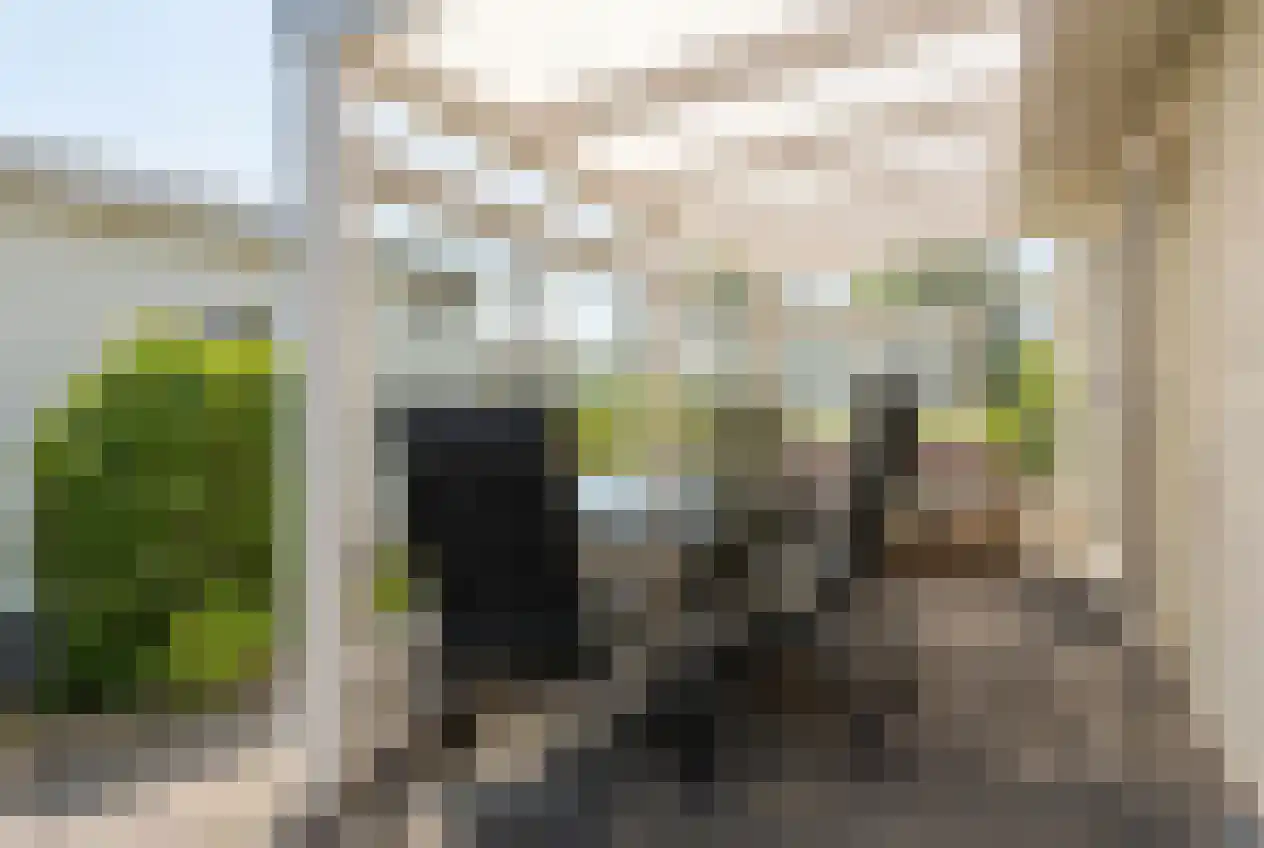 Schoneveld 1 B 006 Breskens thumbnail 18