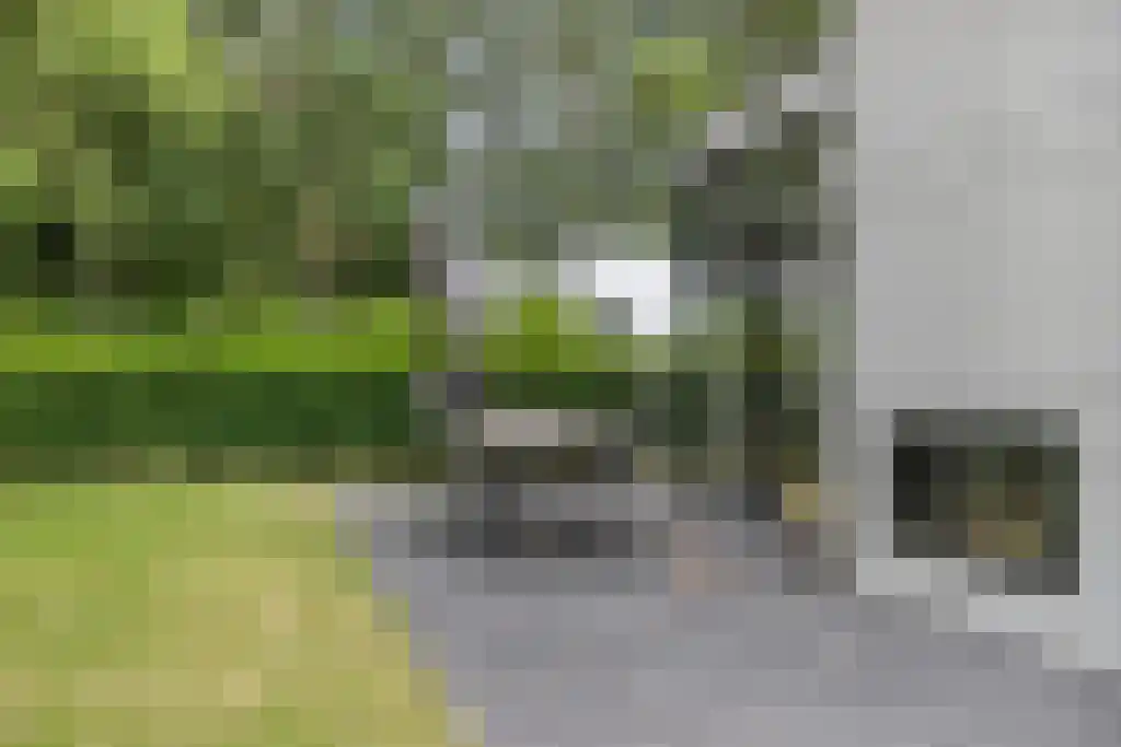 Schoneveld 1 B 006 Breskens thumbnail 20
