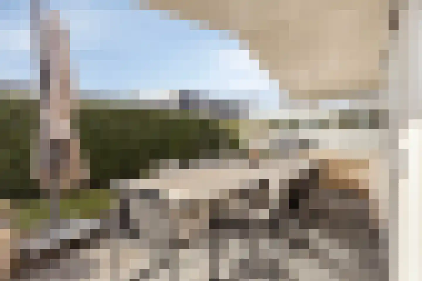 Schoneveld 1 B 006 Breskens thumbnail 28