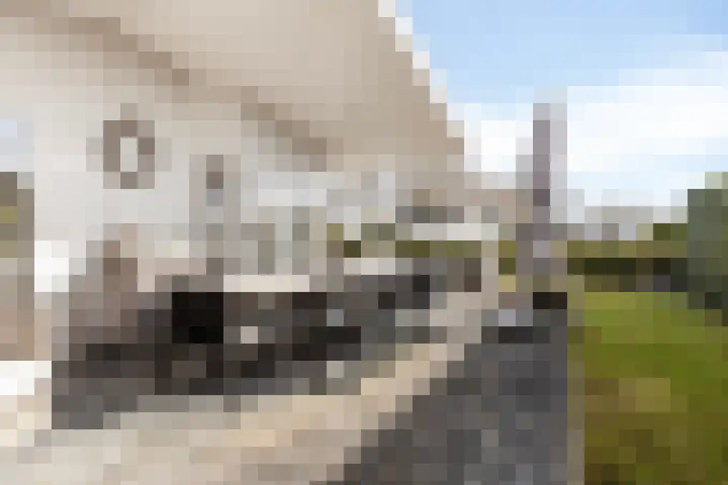 Schoneveld 1 B 006 Breskens thumbnail 30