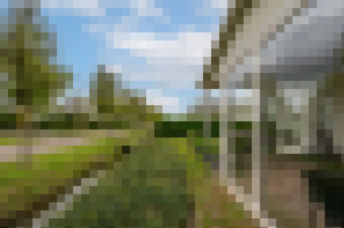 Schoneveld 1 B 006 Breskens thumbnail 4