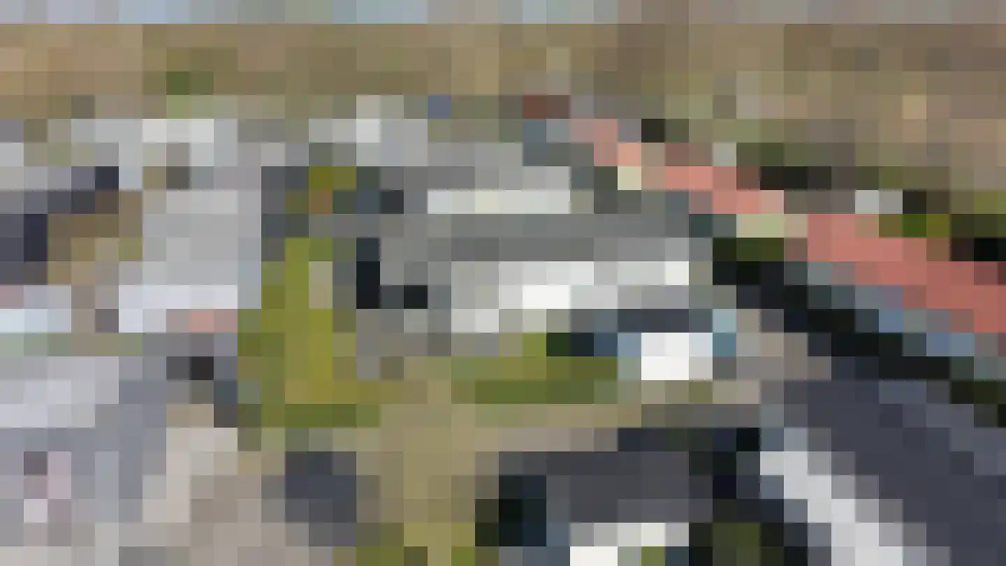 Schoneveld 1 B 006 Breskens thumbnail 4