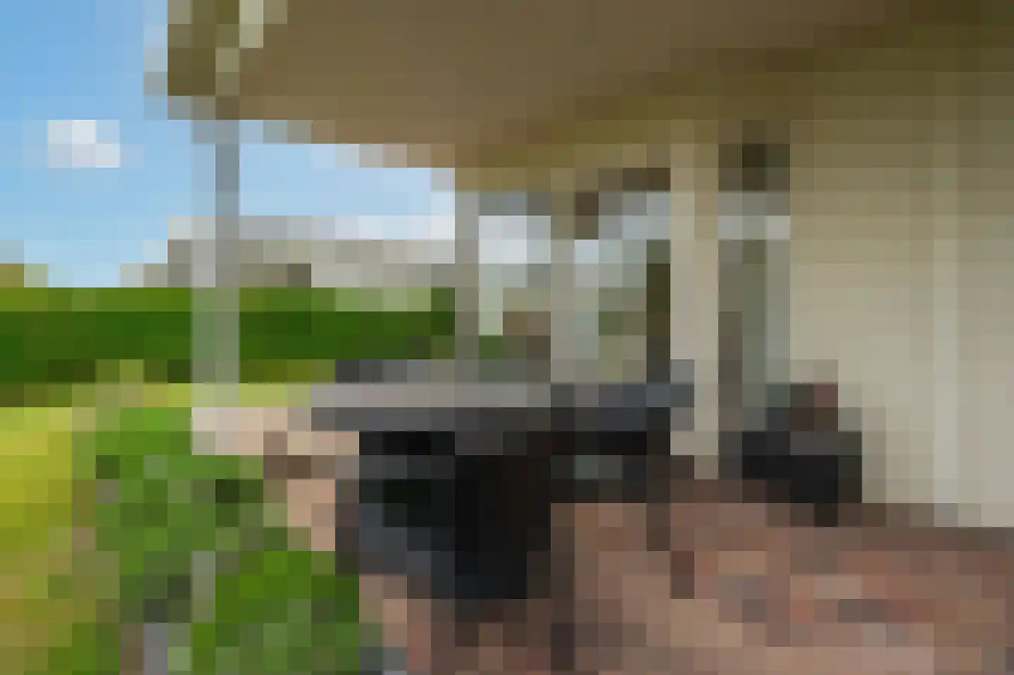 Schoneveld 1 B 006 Breskens thumbnail 5