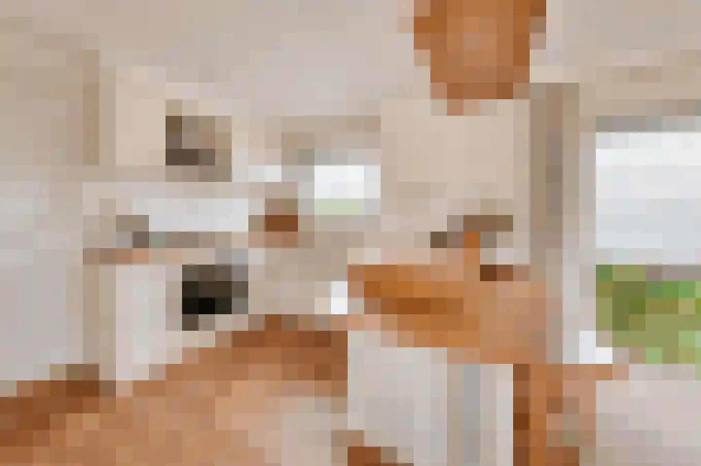 Schoneveld 1 B 006 Breskens thumbnail 6