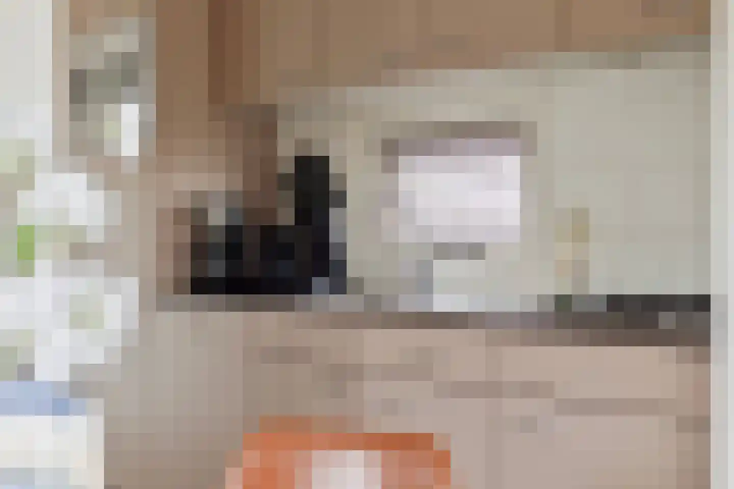 Schoneveld 1 B 006 Breskens thumbnail 7
