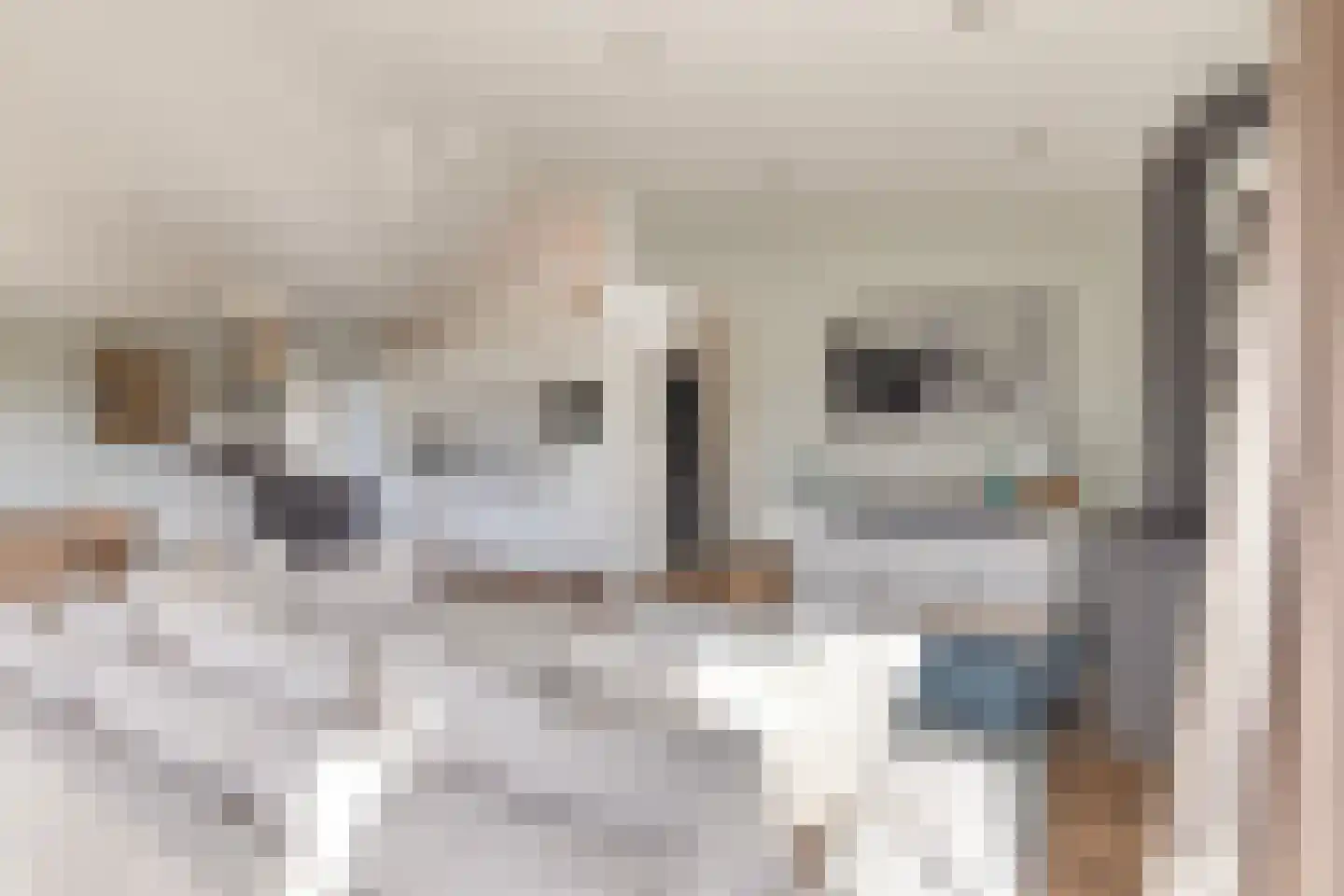 Schoneveld 1 B 006 Breskens thumbnail 8