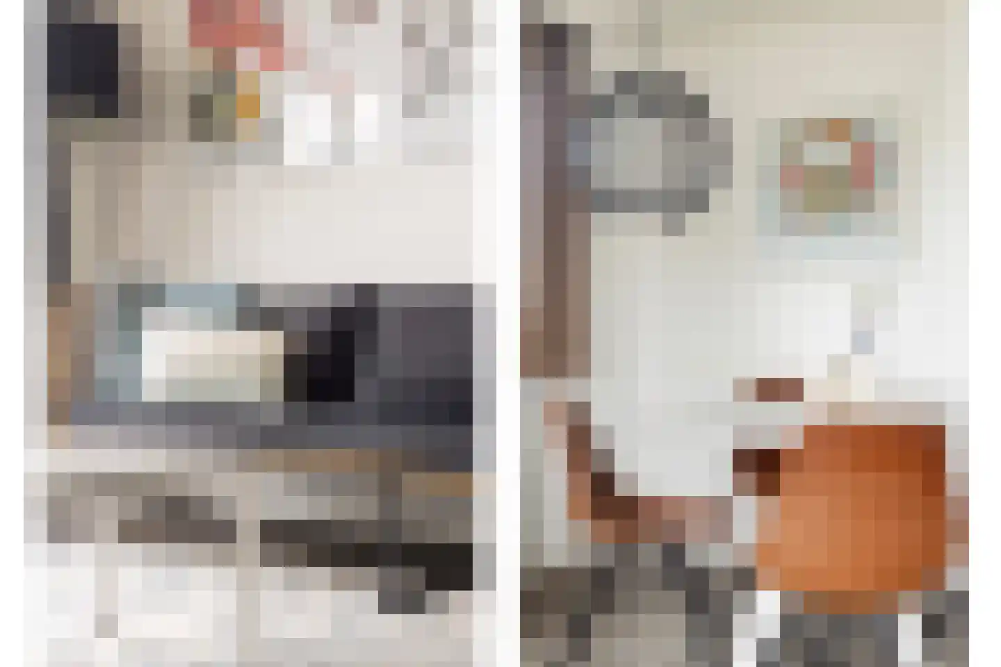 Schoneveld 1 B 006 Breskens thumbnail 8