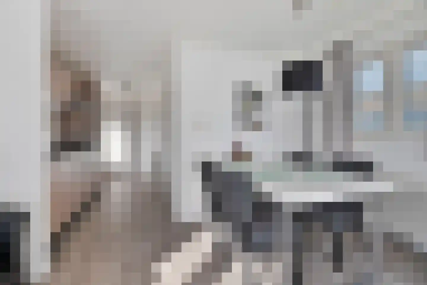 Schoneveld 1 B 006 Breskens thumbnail 8