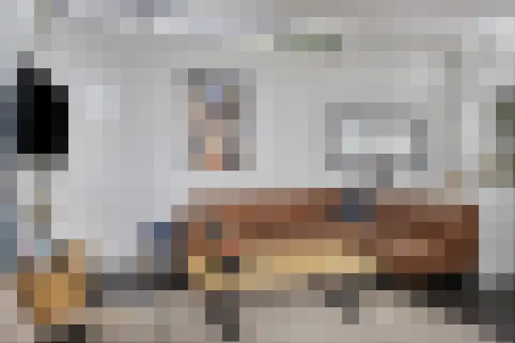 Schoneveld 1 B 006 Breskens thumbnail 9