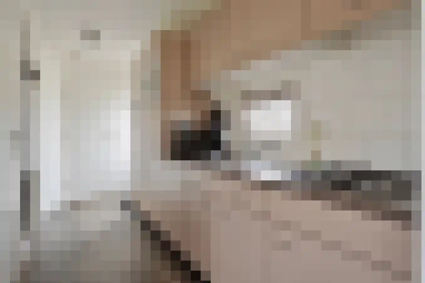 Schoneveld 1 B 006 Breskens thumbnail 9