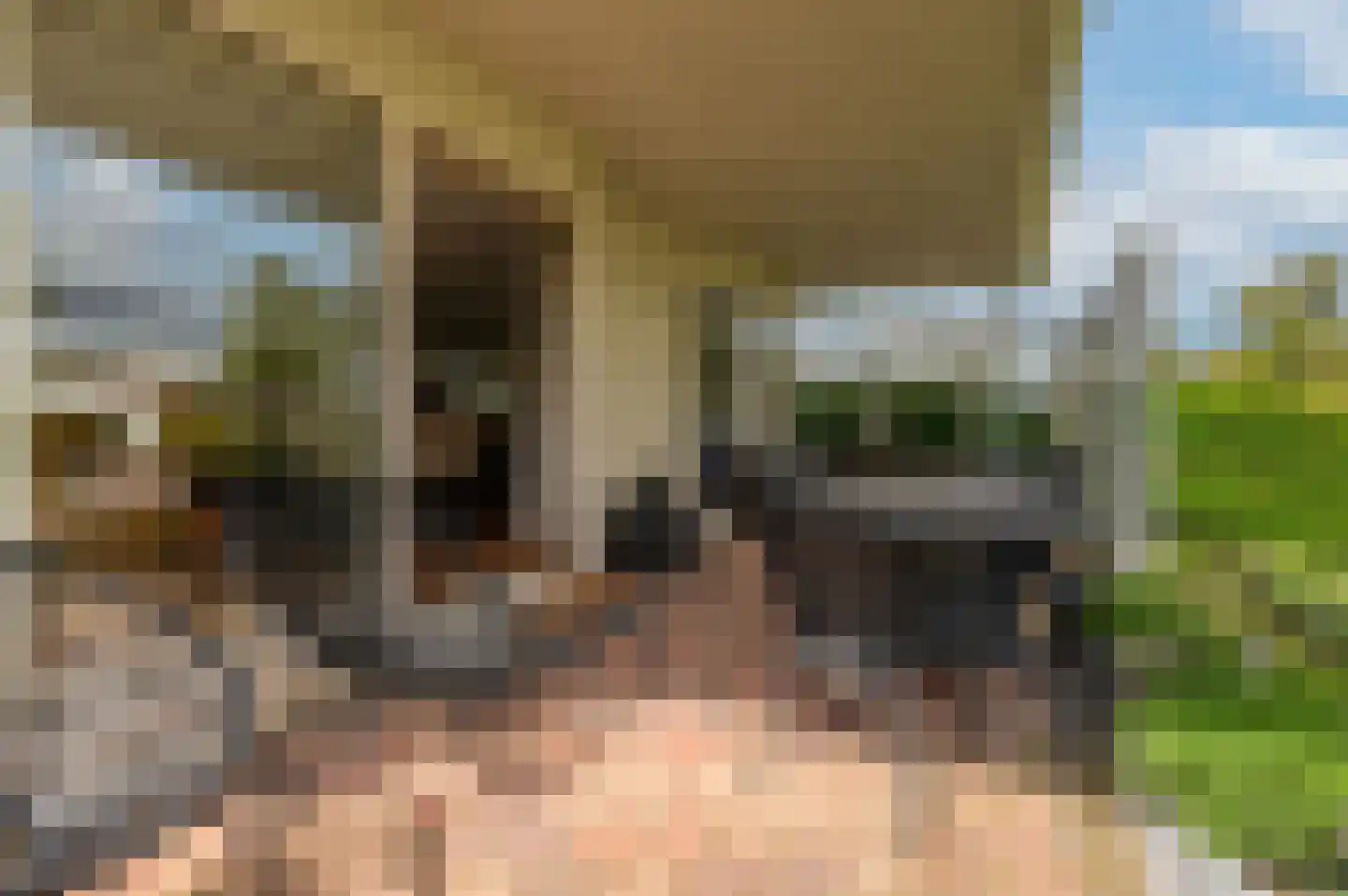 Schoneveld 1 B 006 Breskens thumbnail 9