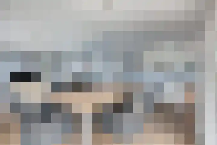 Schoneveld 1 B 014 Breskens thumbnail 10
