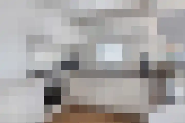 Schoneveld 1 B 014 Breskens thumbnail 12
