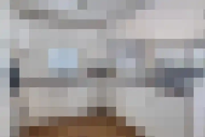 Schoneveld 1 B 014 Breskens thumbnail 13