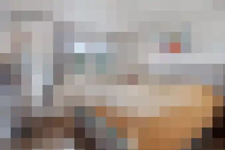 Schoneveld 1 B 014 Breskens thumbnail 15