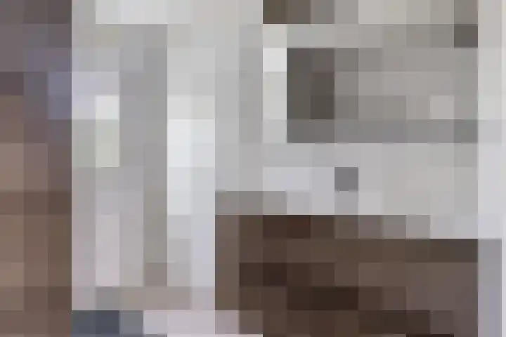 Schoneveld 1 B 014 Breskens thumbnail 17