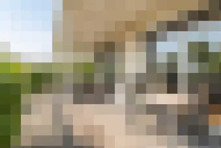 Schoneveld 1 B 014 Breskens thumbnail 24