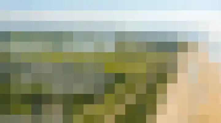 Schoneveld 1 B 014 Breskens thumbnail 27