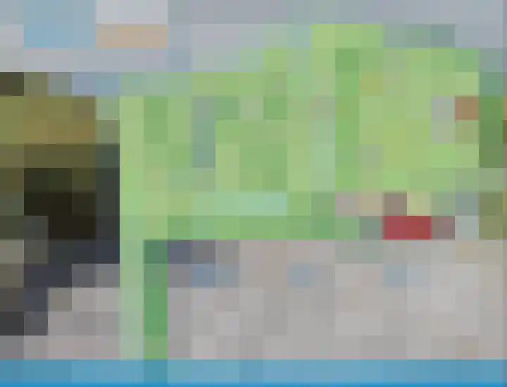 Schoneveld 1 B 014 Breskens thumbnail 31