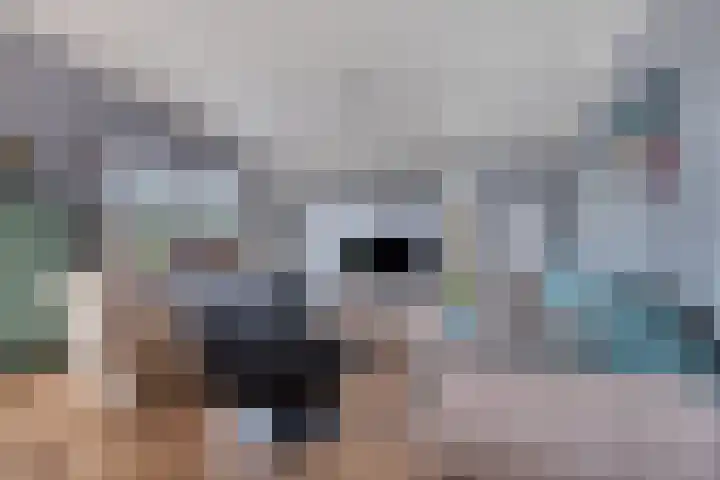 Schoneveld 1 B 014 Breskens thumbnail 4