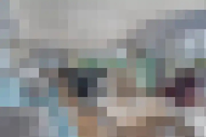 Schoneveld 1 B 014 Breskens thumbnail 7