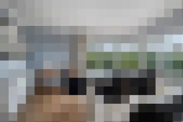 Schoneveld 1 B 014 Breskens thumbnail 8