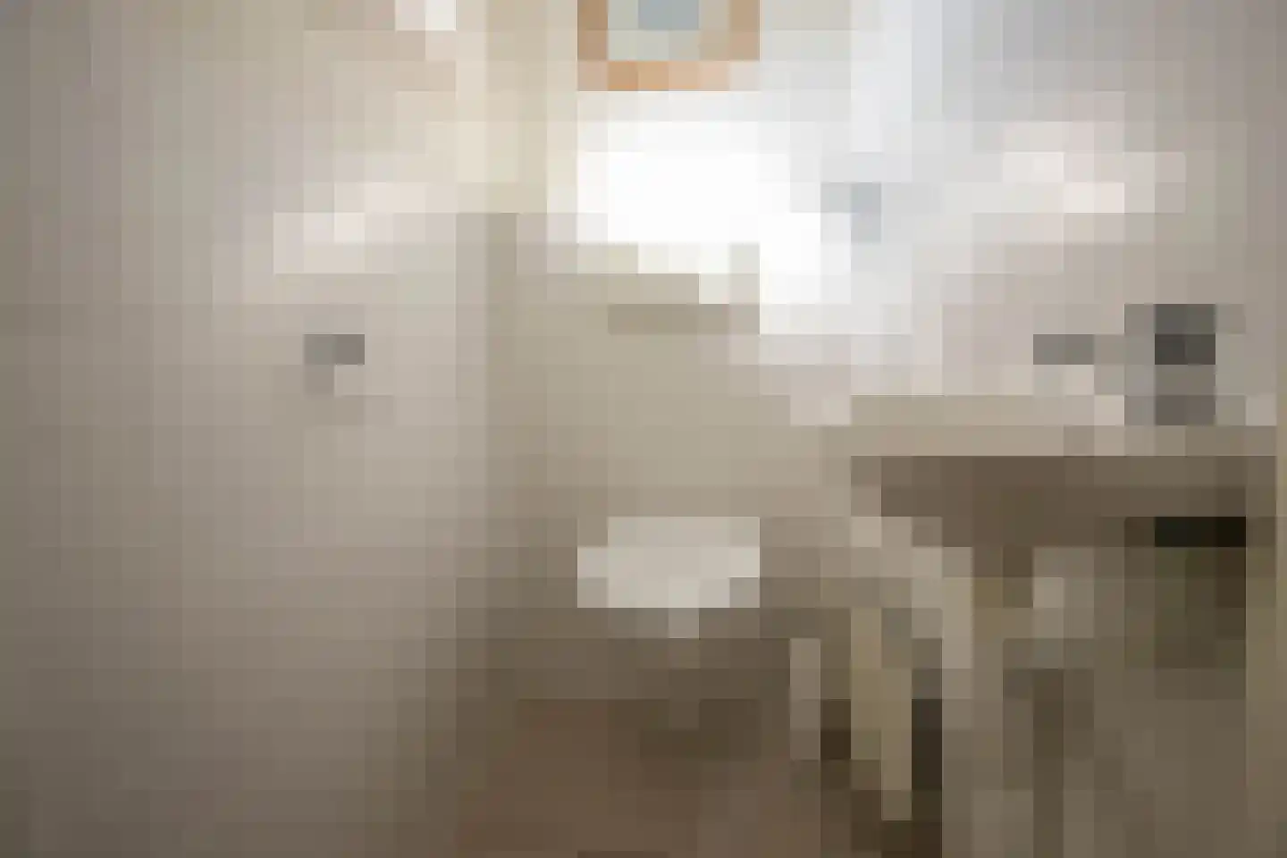 Schoneveld 1 B 015 Breskens thumbnail 11