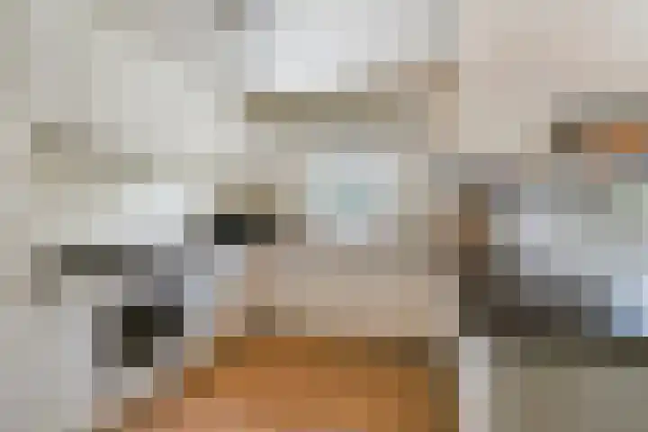 Schoneveld 1 B 019 Breskens thumbnail 12